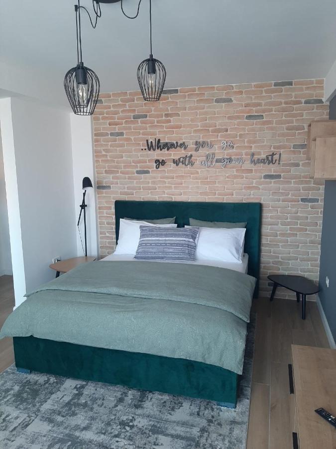 Center View 1 Apartment Timisoara